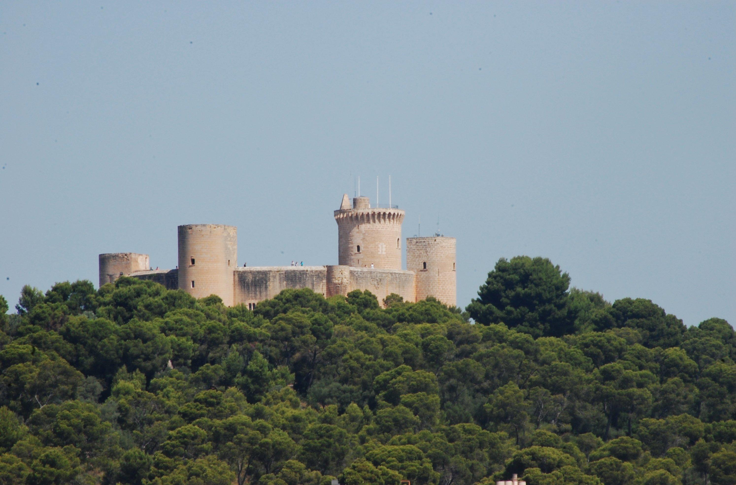 Urlaub auf Mallorca mit Kindern zu jeder Jahreszeit