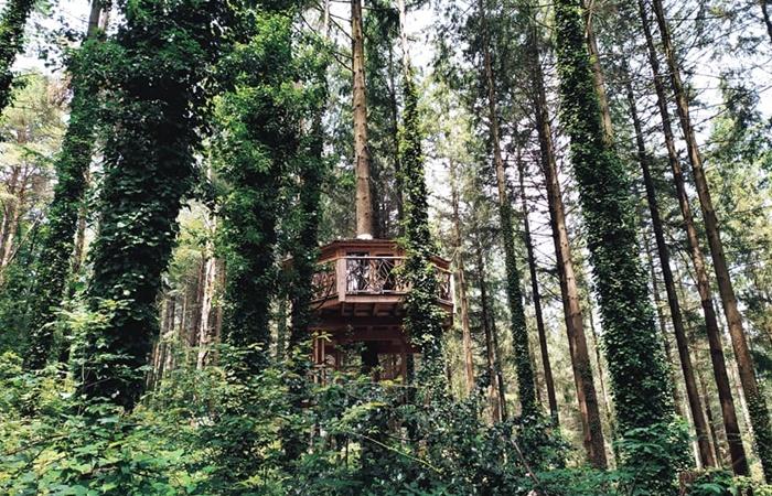 Cabanes als arbres, Katalonien: Haus im Baum