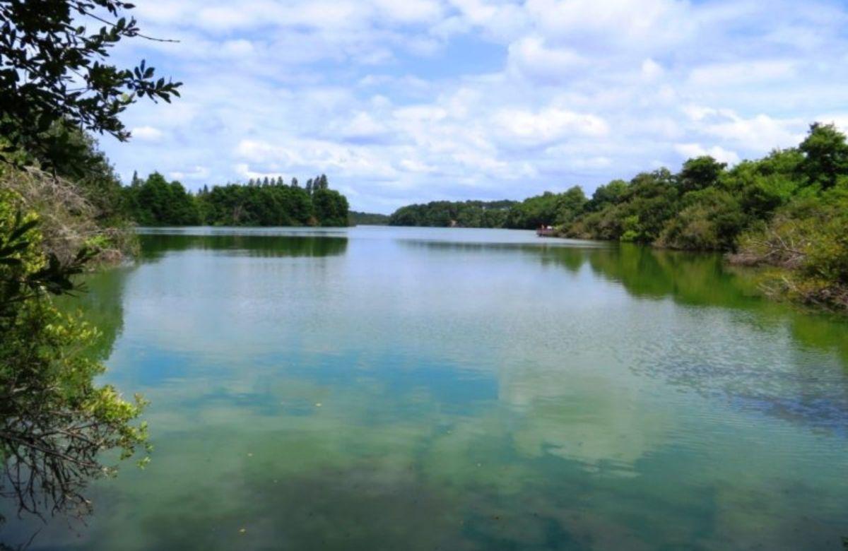Naturschutzgebiet des Schwarzen Teichs