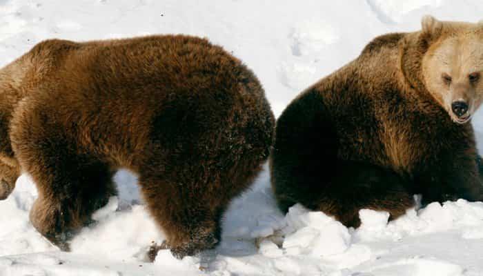 Helsinki mit Kindern Zoo