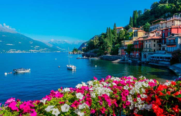 Lago di Como Italien Europa Blumen