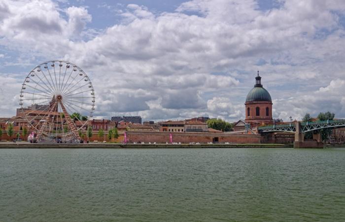 Città in 48 ore: Tolosa, vista parziale del ponte di San Pietro