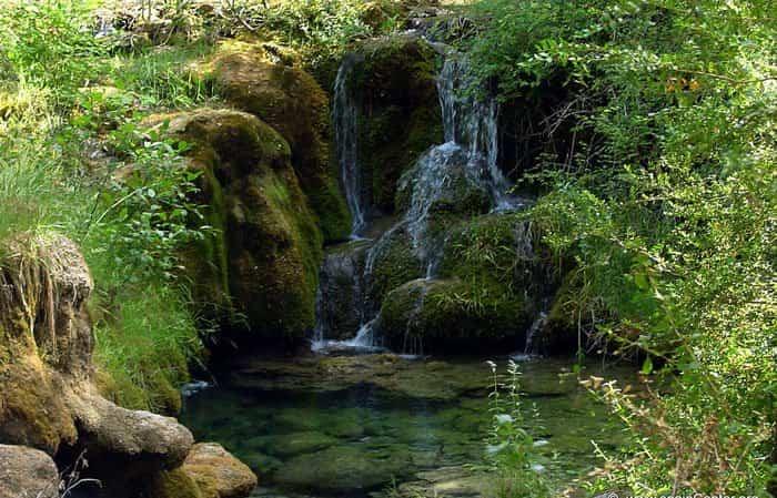Nascente do Rio Cuervo