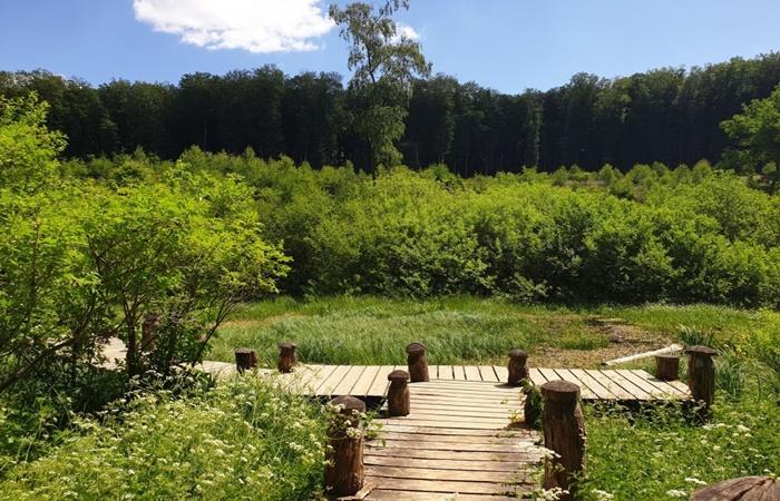 Die spektakulärsten Wanderwege Europas: Mullerthal Trail, Luxemburg