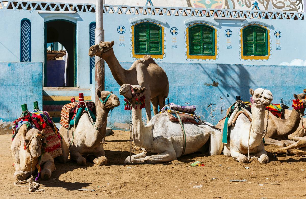 gharb suhayl ägypten beste dörfer der welt