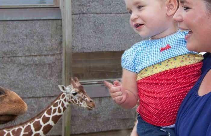 Zoo | Reisen in die Niederlande mit Kindern