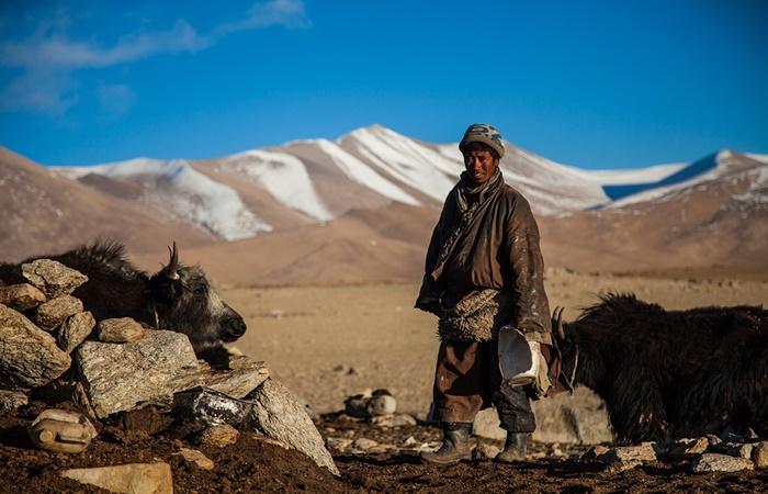 Mongolischer Hirte