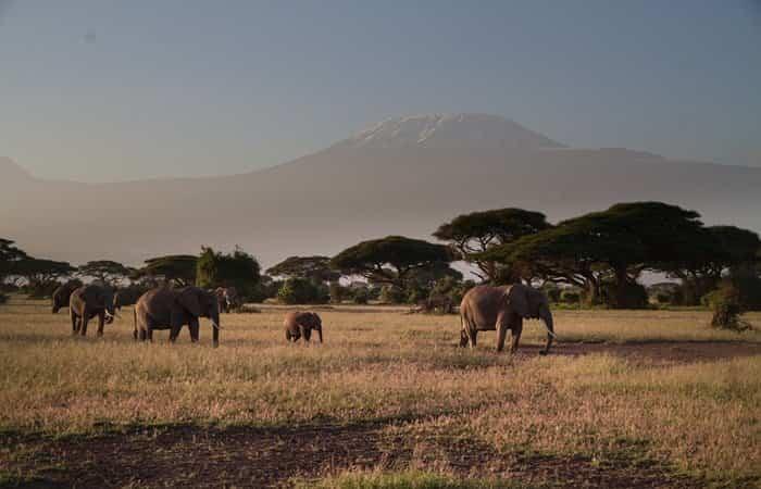 Kenia ist eines der exotischen und sicheren Reiseziele auf dem afrikanischen Kontinent
