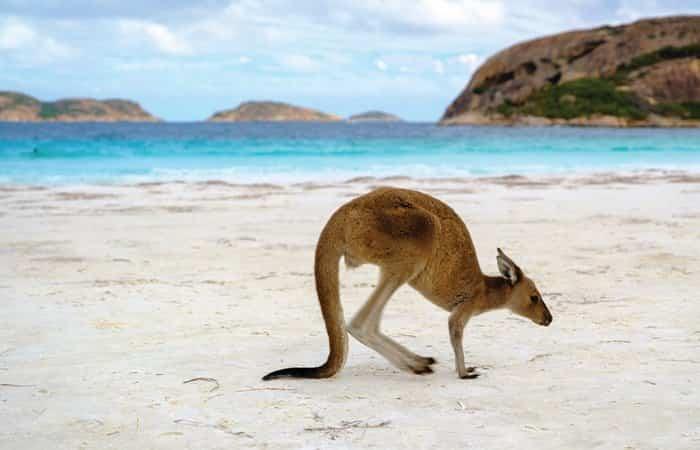 Australien steht auf unserer Liste der exotischen und sicheren Reiseziele, die man mit der Familie besuchen kann