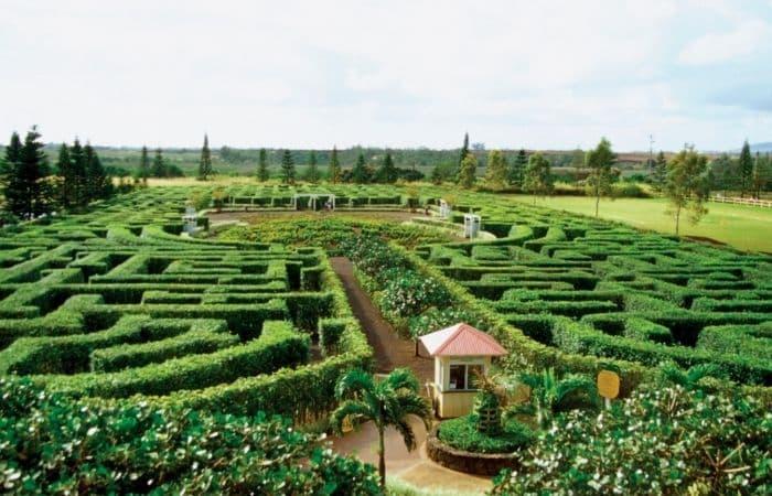 Dole Plantage