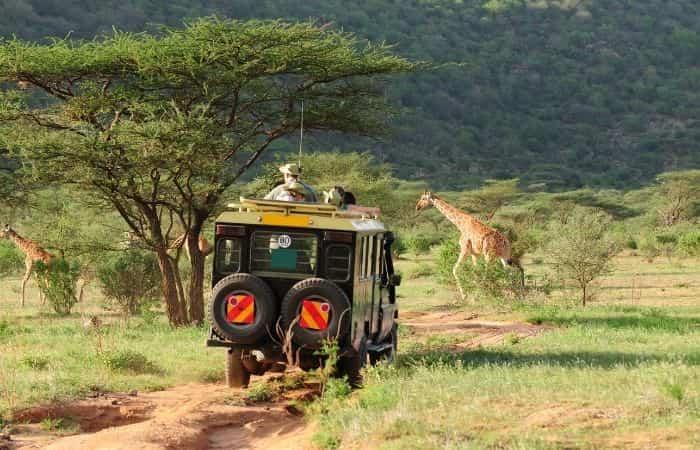 Safari in Kenya