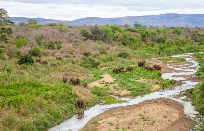 Kuriositäten über Südafrika: iSimangaliso Wetland Park