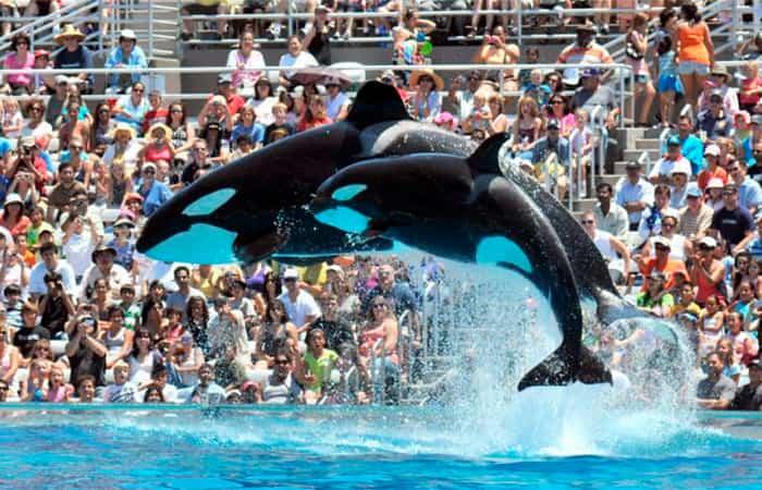 California con bambini, Seaworld San Diego