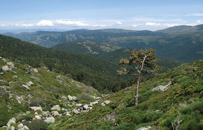 Escursioni scolastiche: senderismo nel Parque Natural de Peñalara, a Madrid