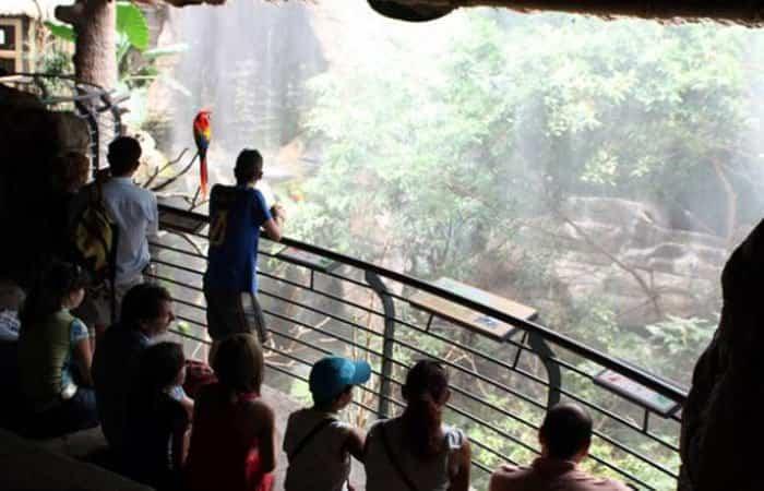 Excursioni scolastiche: visita a Faunia