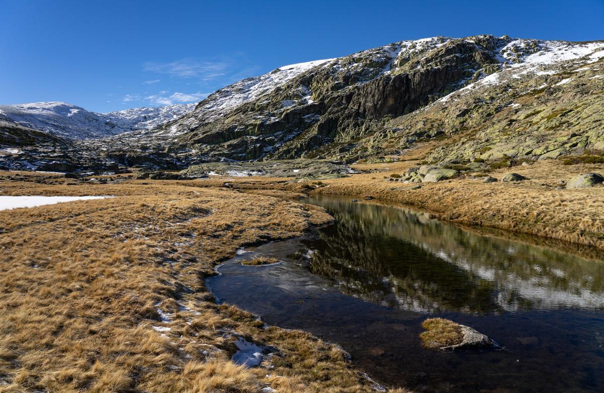 sierra de gredos mariposas