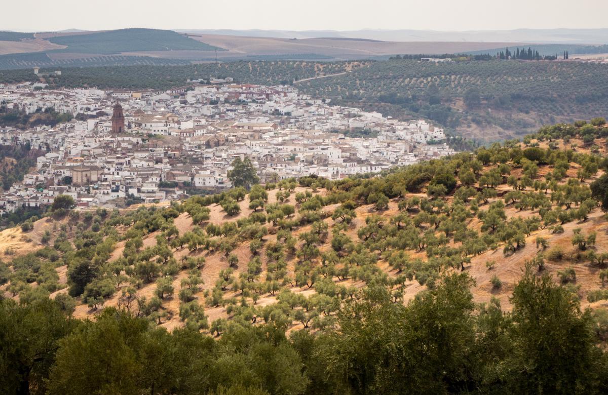 montoro cordoba lugares para ver mariposas