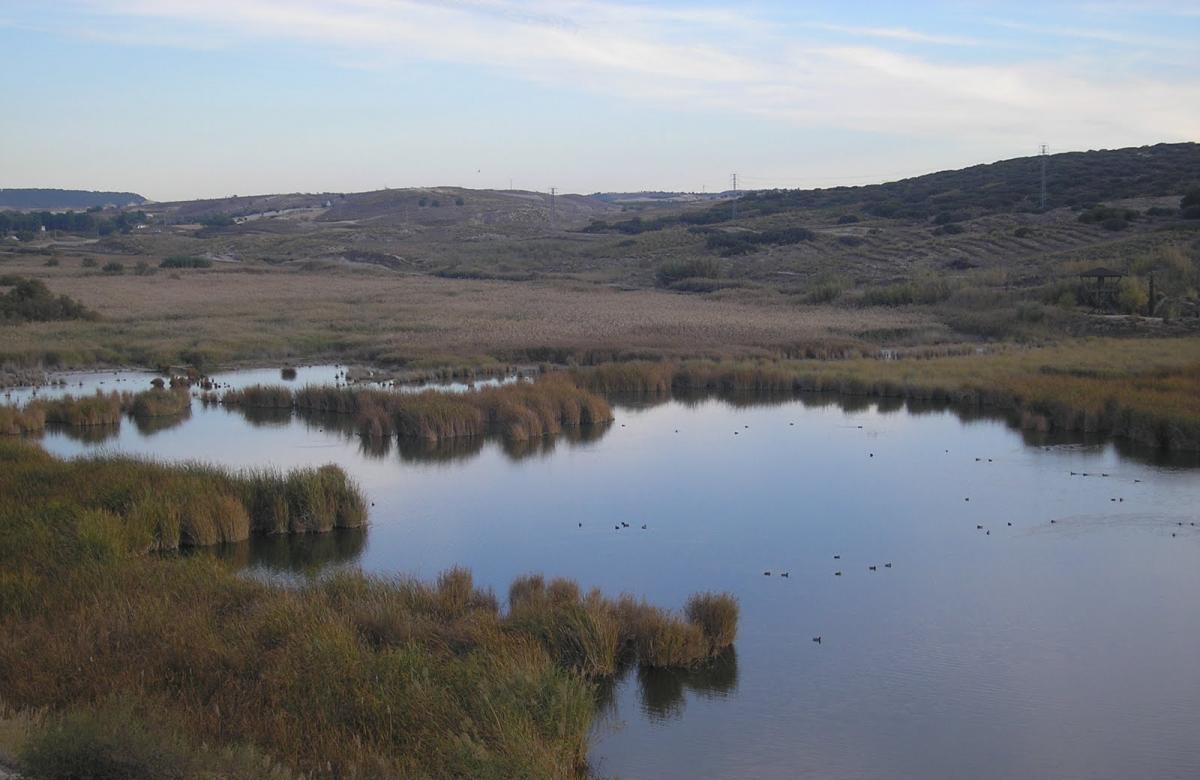 Reserva del Regajal-Mar de Ontígola