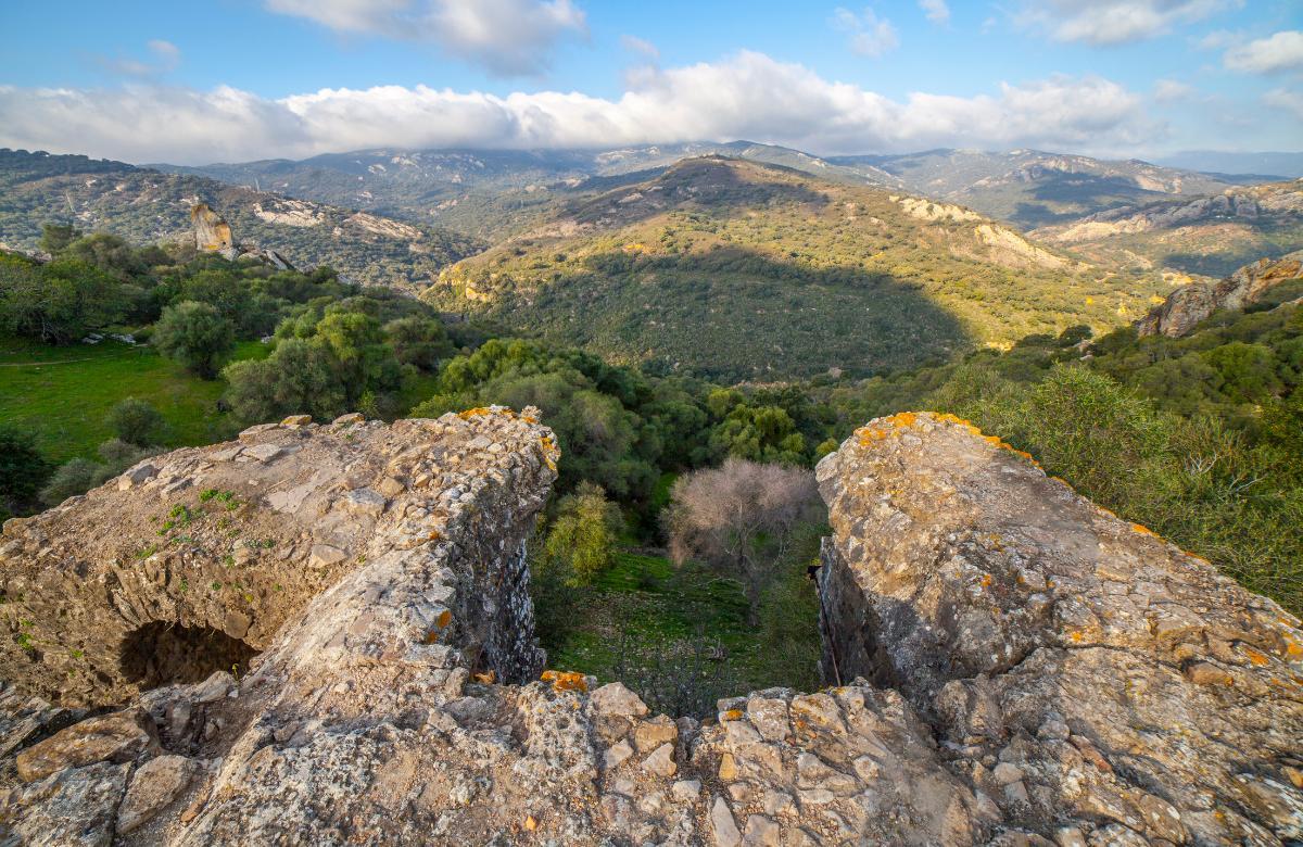Parque Natural de Los Alcornocales