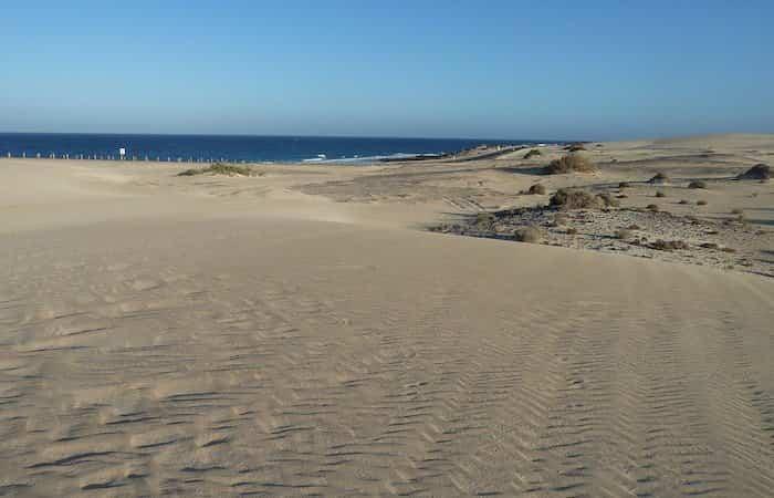 Dünen von Corralejo