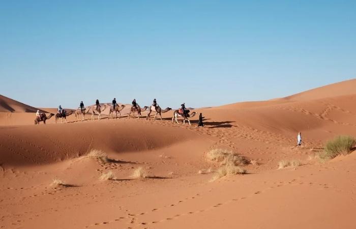 Interessen über die Wüste Sahara