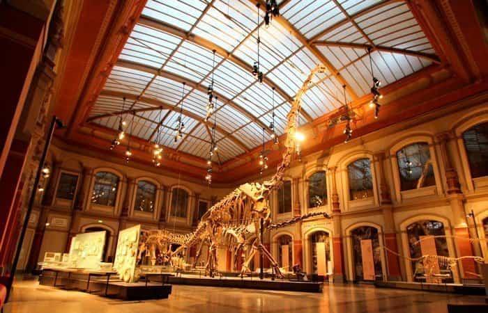 Museum für Naturkunde
