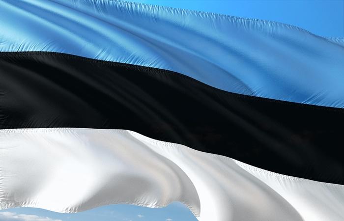 Fakten über Estland, Nationalflagge