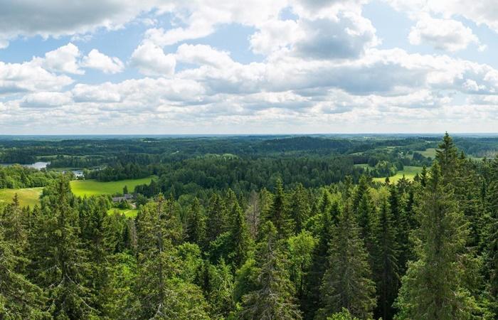 Fakten über Estland, Landschaft in Suur Munamagi