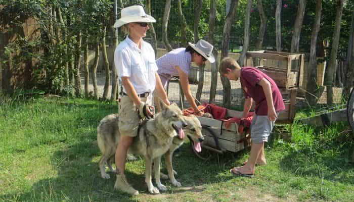Bordeaux mit Kindern Bauernhof 2