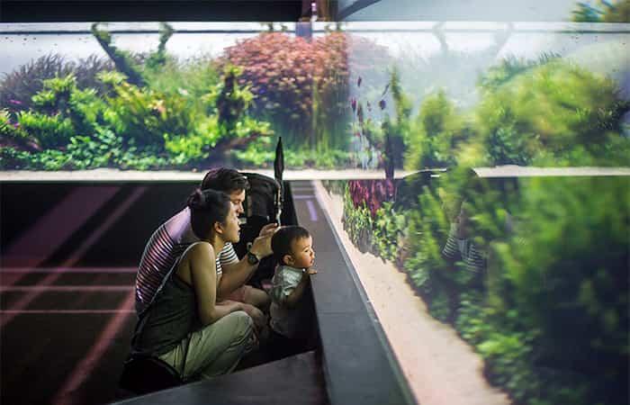 Lissabon mit Kindern, Ozeanarium