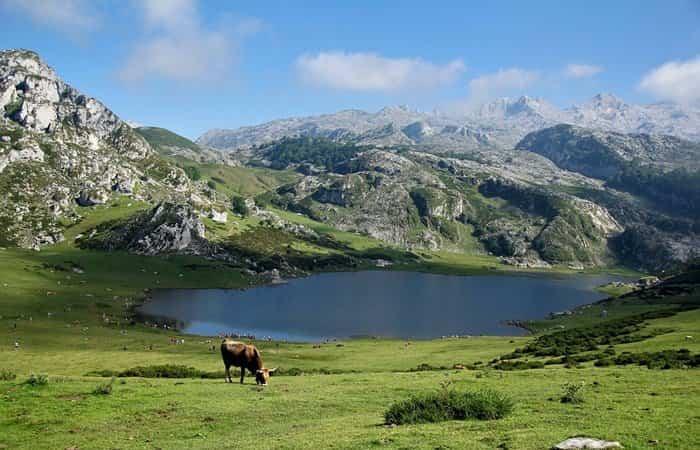 ziele zu einem guten Preis: Asturien