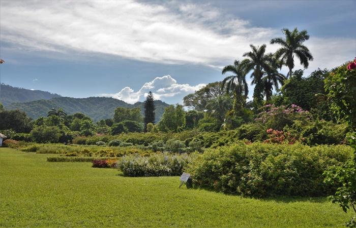 Hope Gardens, Jamaika