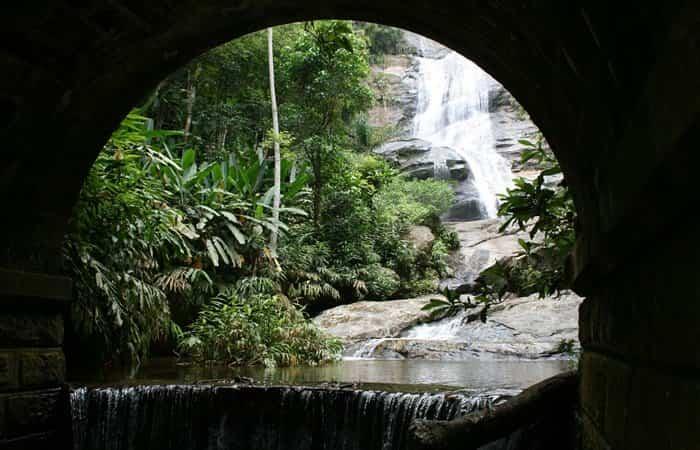 Brasilien, Tijuca-Wald