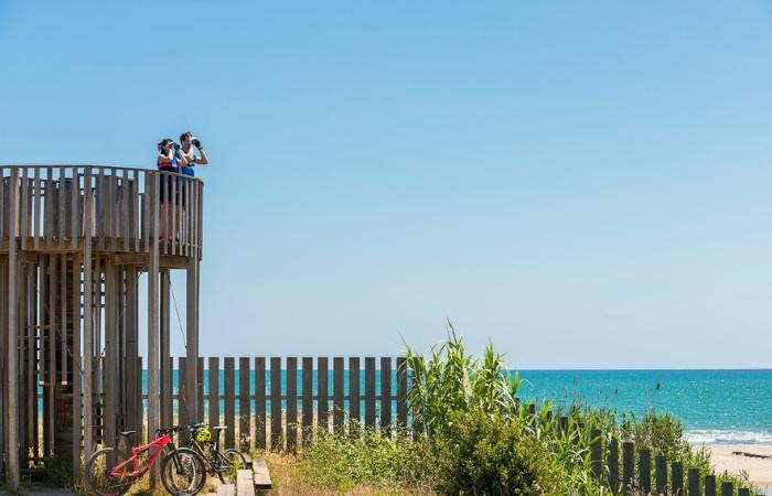Naturräume des Delta del Llobregat
