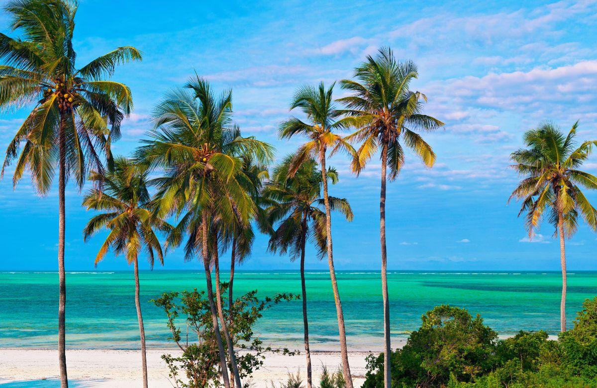 Zanzibar, ein Paradies
