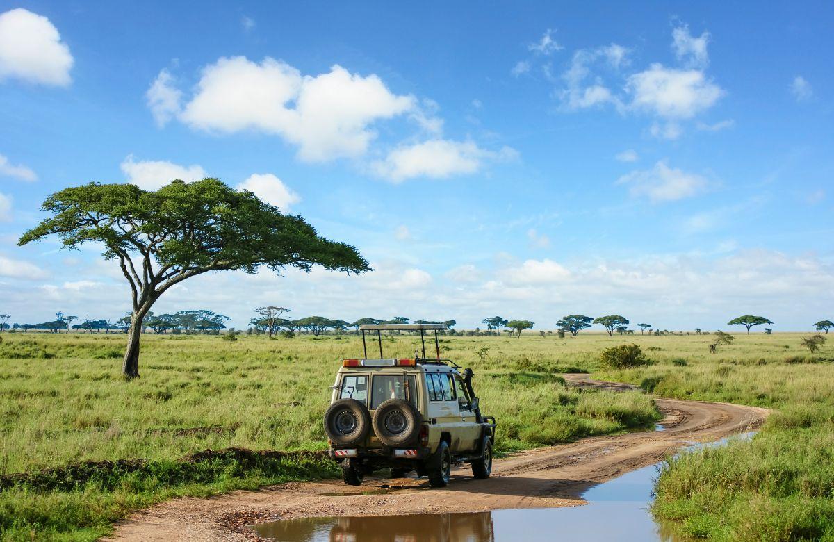 Sicherheit bei Safaris