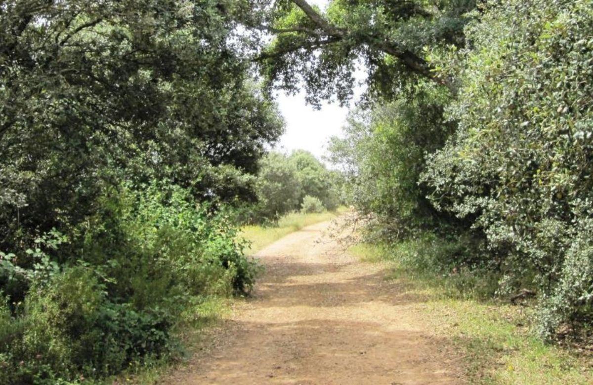 Route der Colada de Navalrincón, Cabañeros