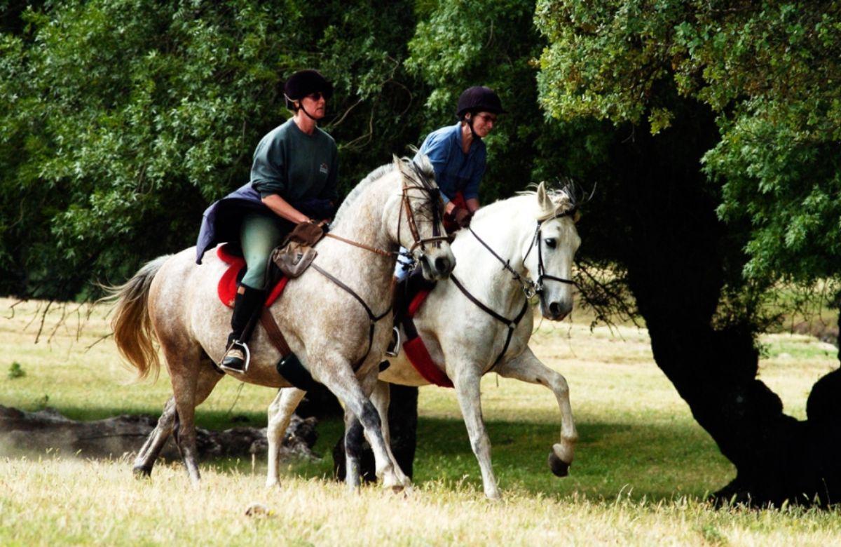 Reitwege durch Spanien: Navarredonda de Gredos