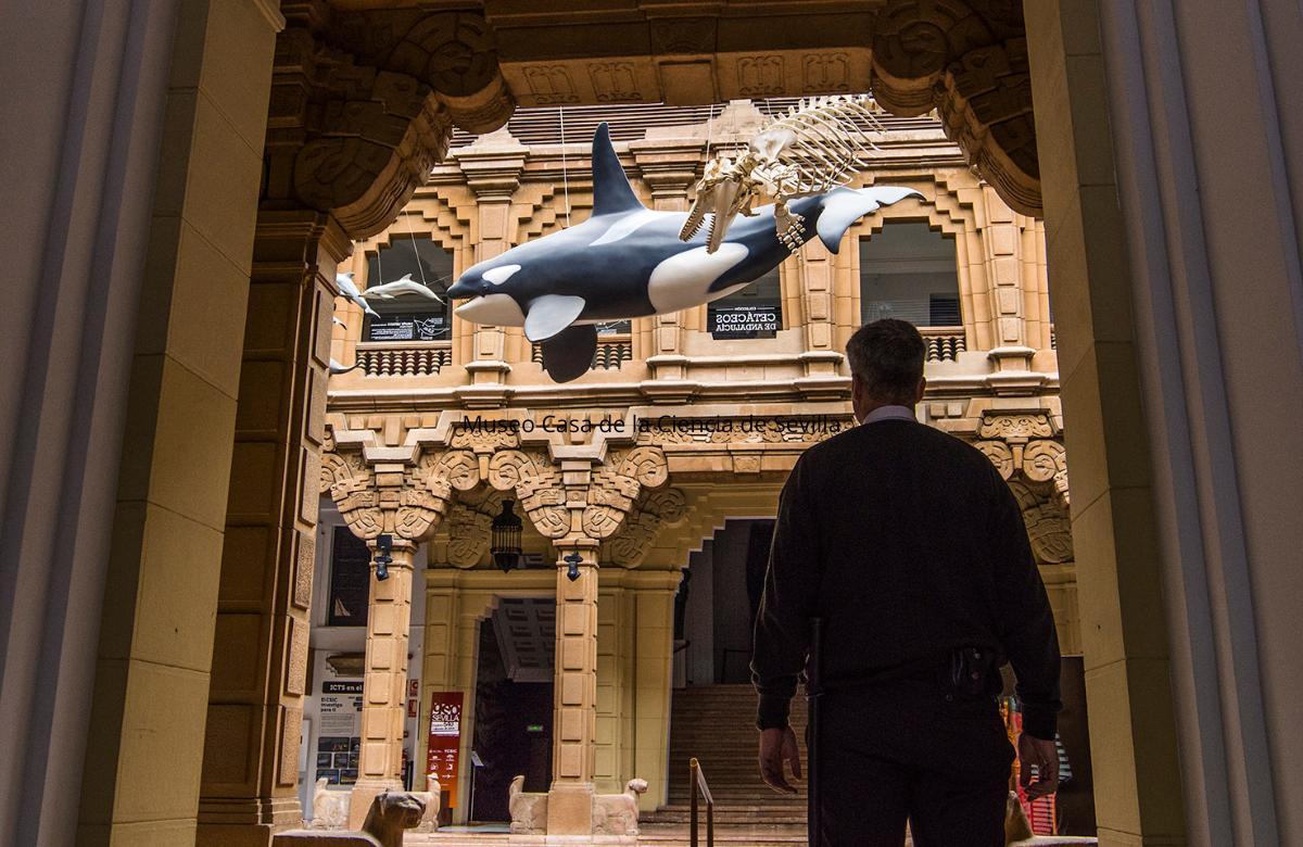 Das Haus der Wissenschaft Die besten Museen in Sevilla
