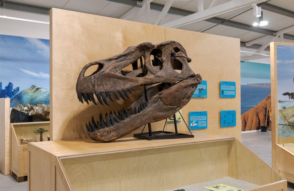 Dino Parque Lourinhã