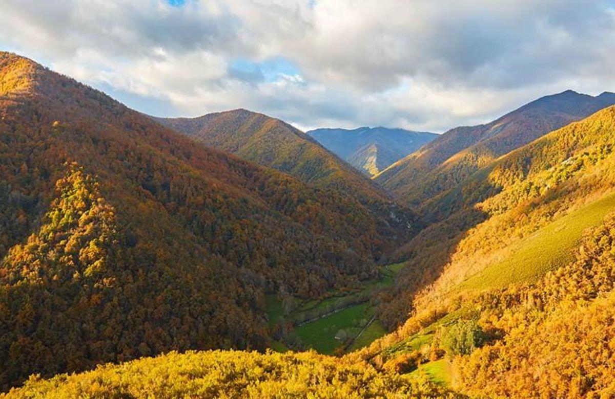 Pilzplätze: Wald von Muniellos, Asturien