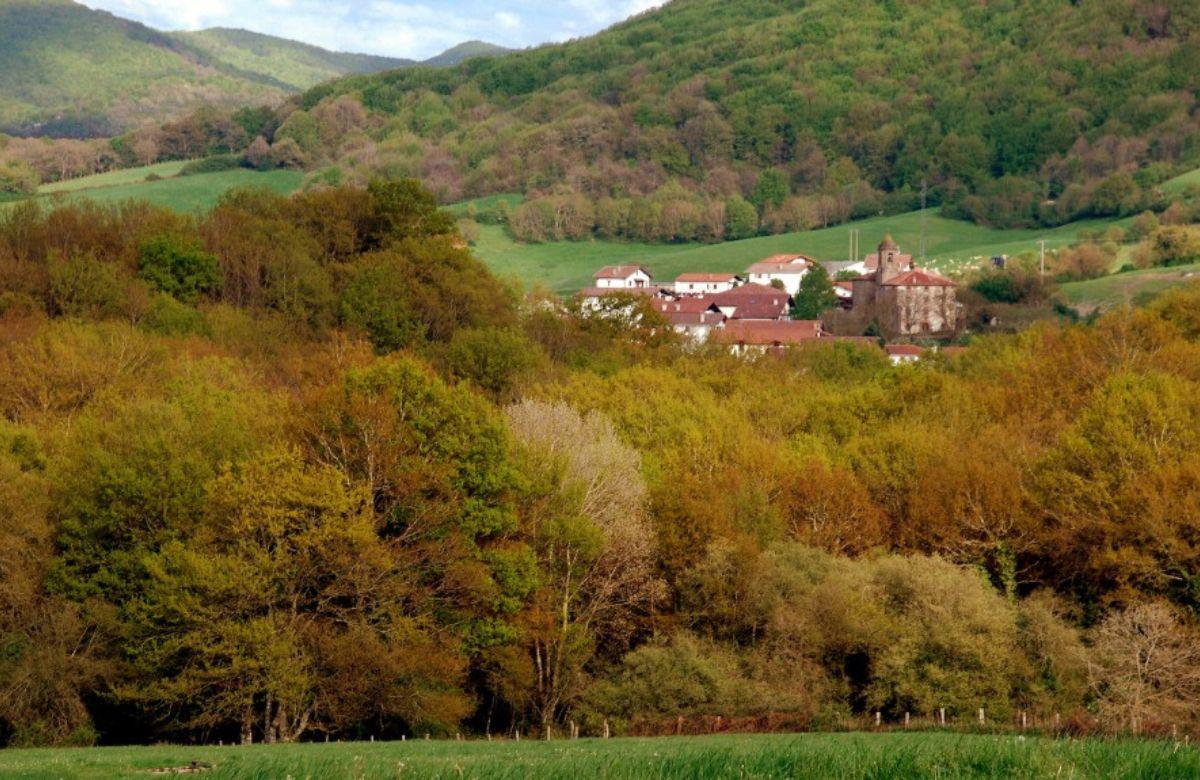 Valle de Ultzama: Pilzparadies