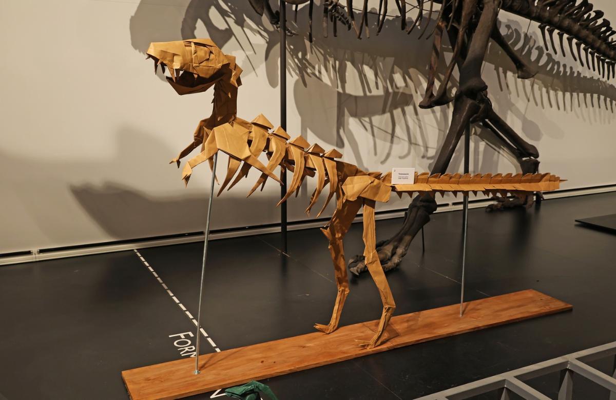 Museo di Scienze Naturali
