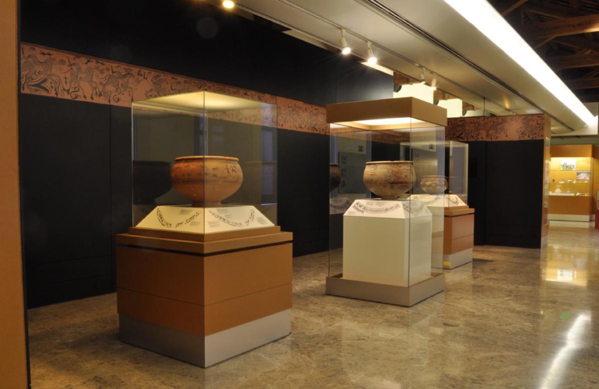 Museo di Preistoria di Valencia