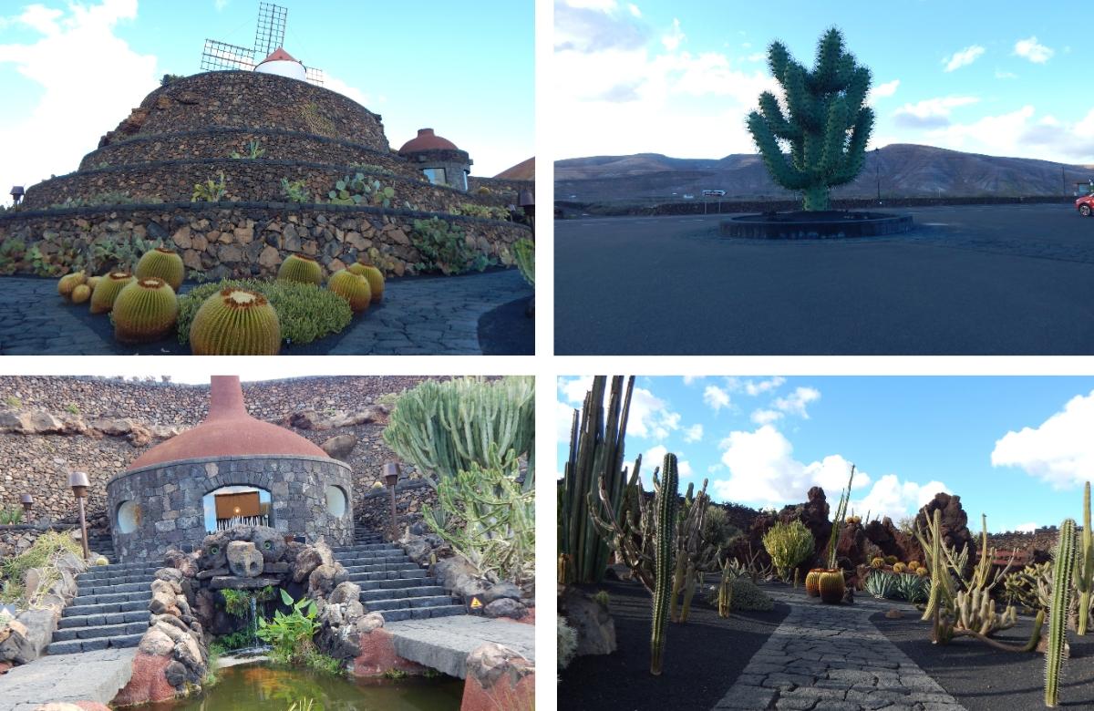 Kaktusgarten