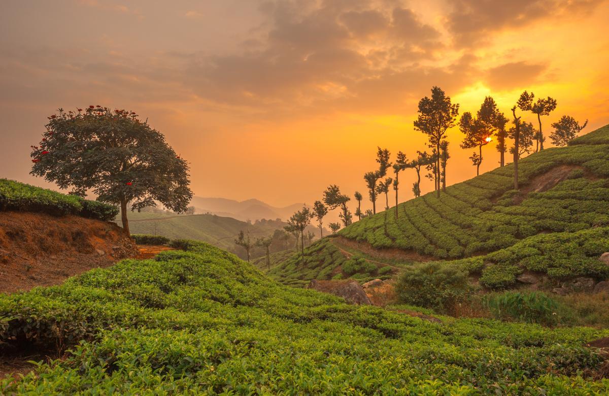 literarische reiseziele indien kerala