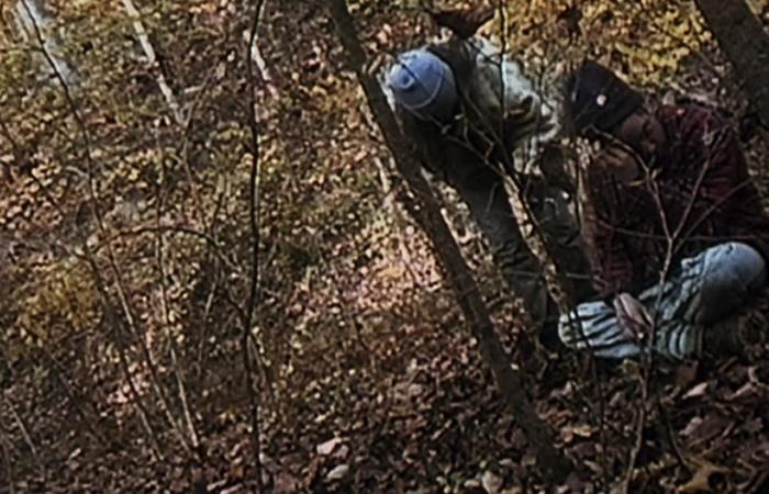 Drehorte von Horrorfilmen: Der Blair Witch Project