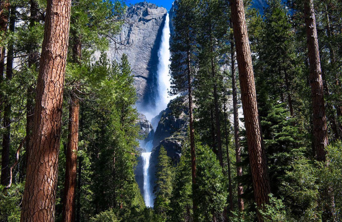 Lower und Upper Falls im Yellowstone Nationalpark
