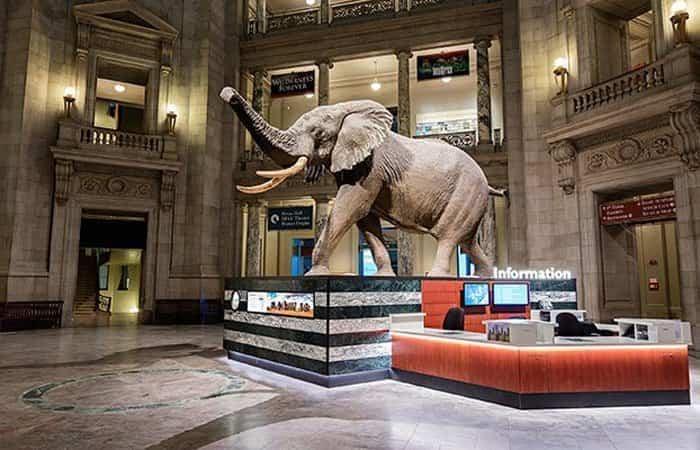 Naturhistorisches Museum in Washington, Vereinigte Staaten