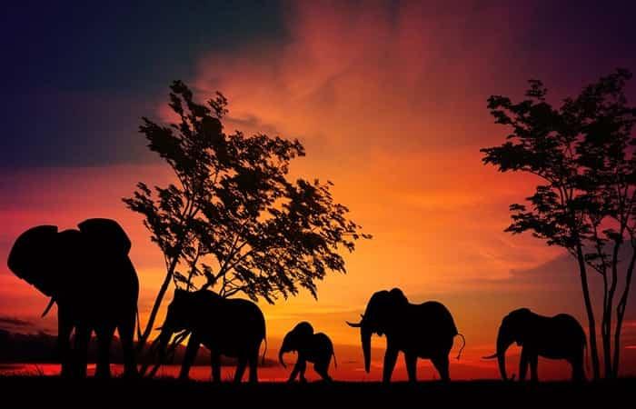 Nationalparks der Welt